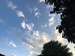 Meet your Posher, Claudia